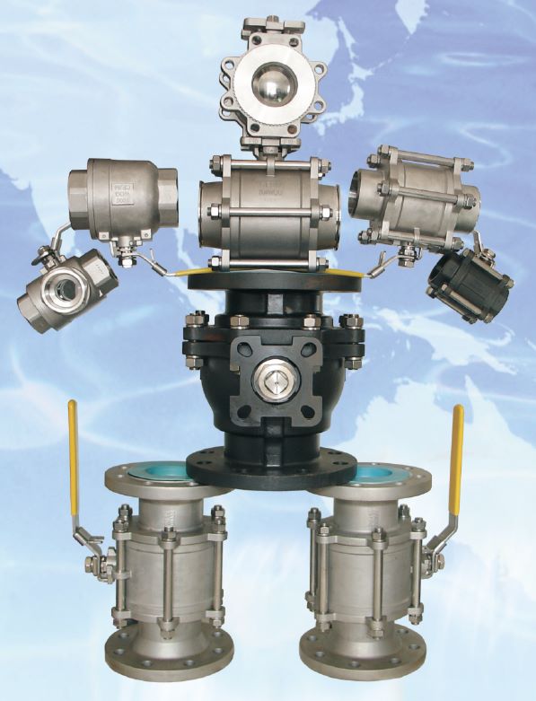 Custom and White-label Valve Programs